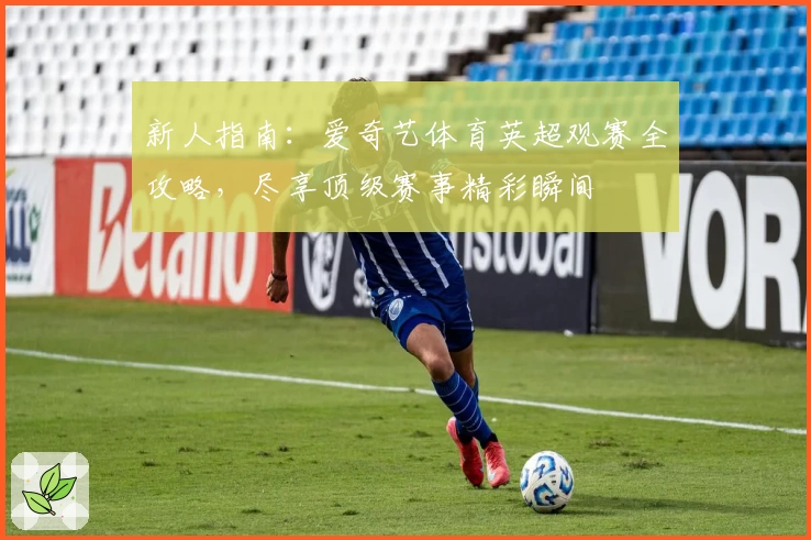 新人指南：爱奇艺体育英超观赛全攻略，尽享顶级赛事精彩瞬间