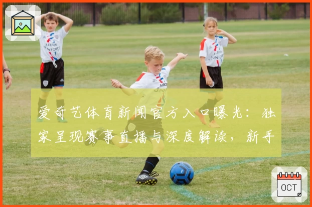 爱奇艺体育新闻官方入口曝光：独家呈现赛事直播与深度解读，新手娱乐体验指南